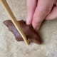 Image for the article titled Your Halloween Party Needs These Chocolate Peanut Butter Cookies